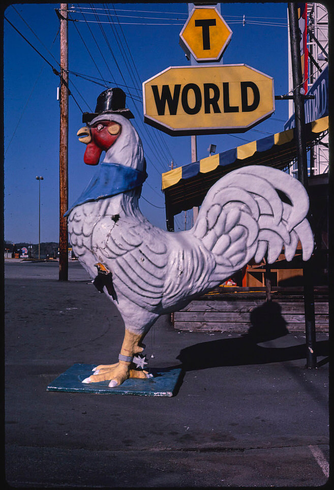 White rooster sign